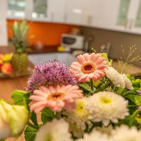 Apartament Haus Sonnheim Zermatt