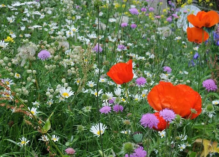 Haus Sonnheim Appartamento Zermatt